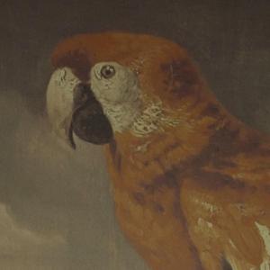 小雪好湿⋯好紧⋯太爽了日记动漫
