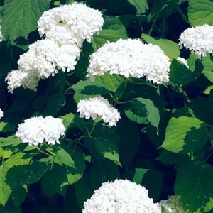 小雪好湿⋯好紧⋯太爽了日记动漫
